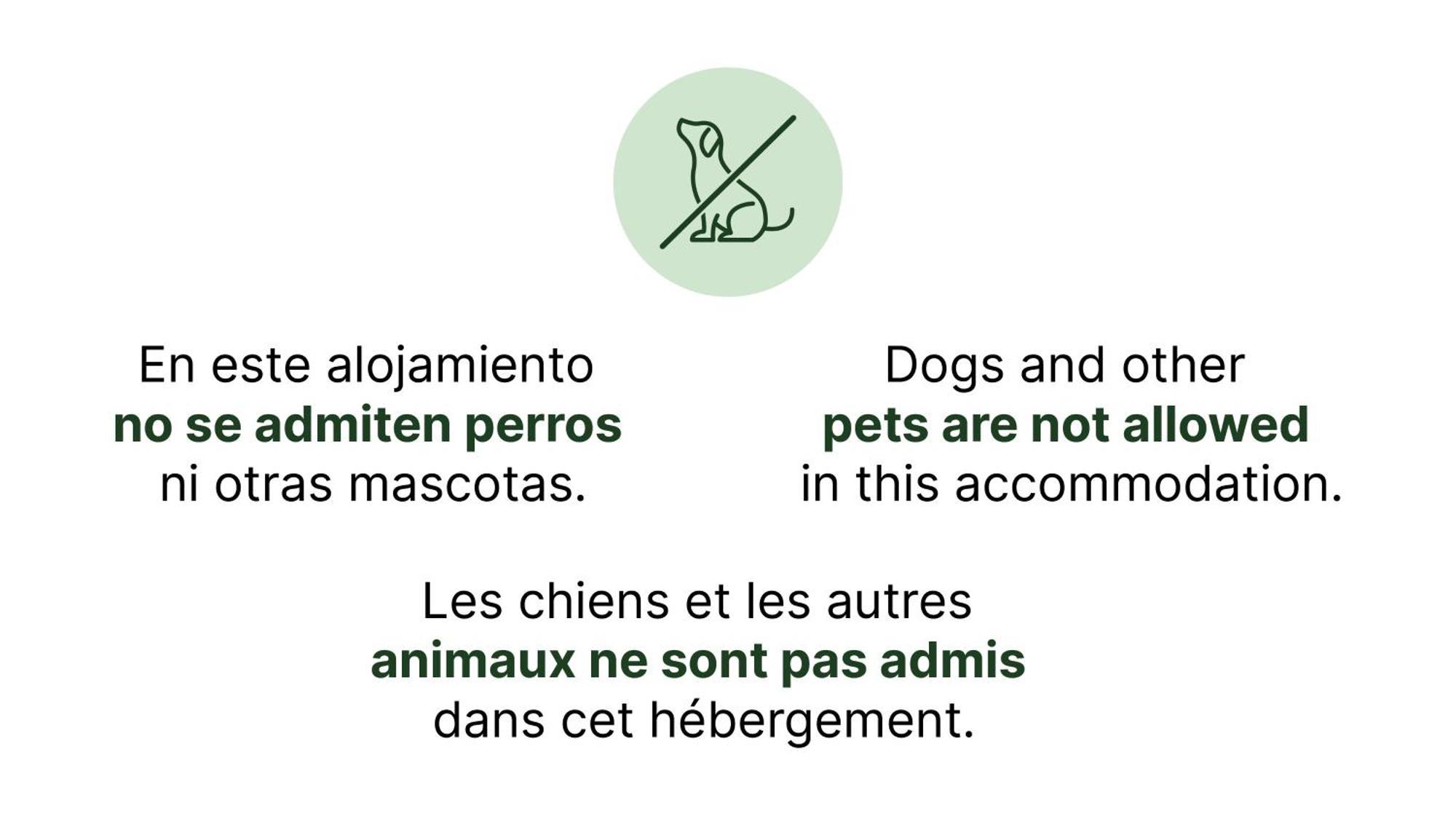 Hébergement Glamping Premium (2 Adultes + 2 Enfants)