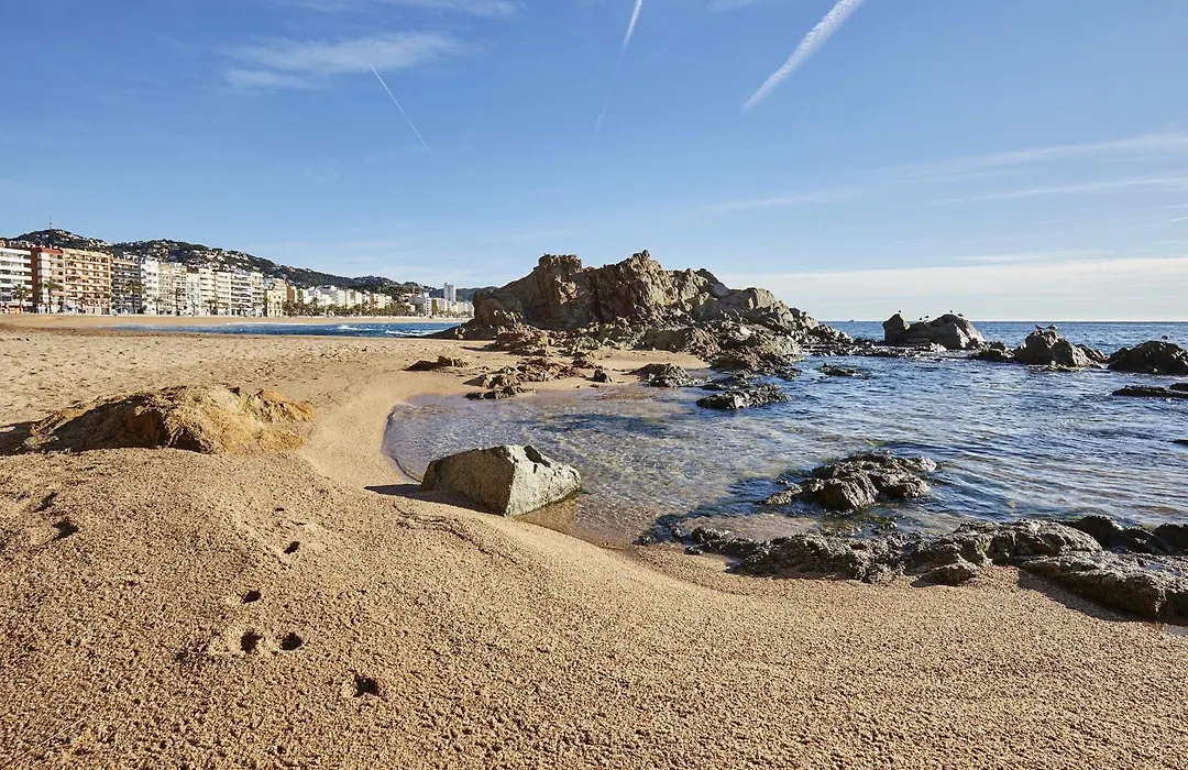 Vivalidays Elia - Fenals - Lloret De Mar-1