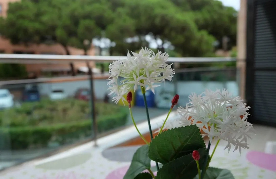 Apartment Ilia-1