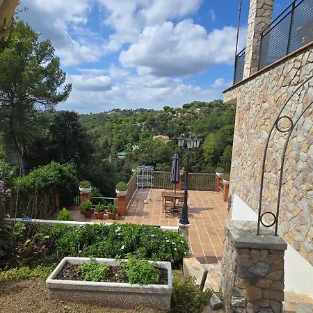 Villa Paradise Lloret-3
