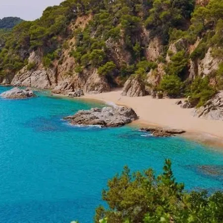 Precioso Piso Cerca De Playa Fenals Con 2 Piscinas Y Terraza-3