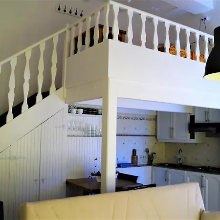 Loft Kiwi-3