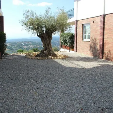Villa "Oliva"-3