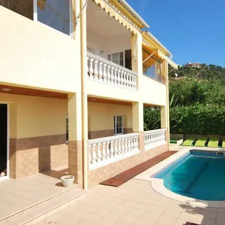 Palmeral-2
