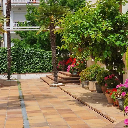 Hotel Mireia-3