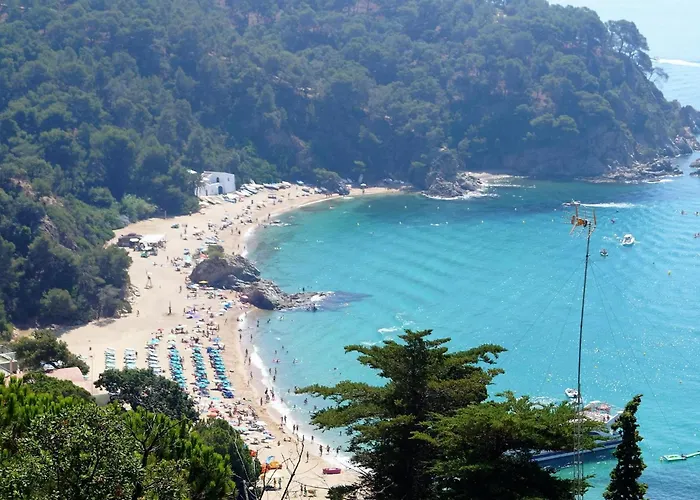 Villa Miramar Lloret de Mar che accetta animali